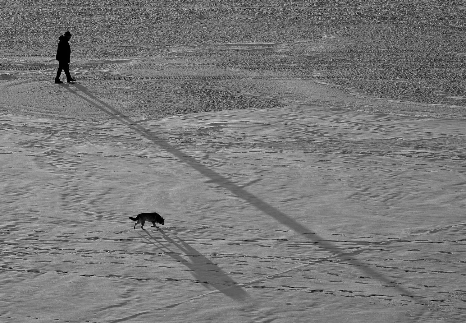 , Подосинников Максим