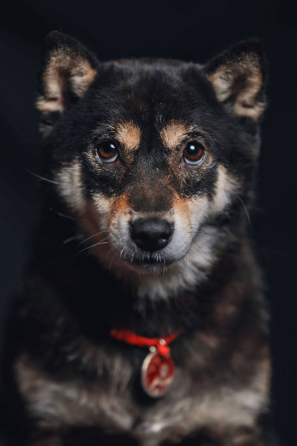 , Владимир Осауленко