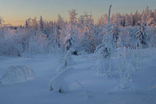 Засыпающий день