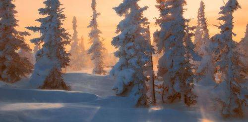 Метель, мороз, снег...