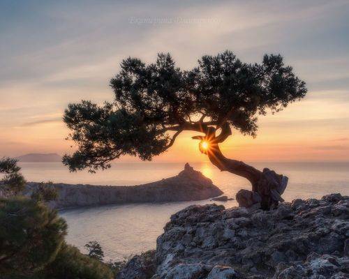 Зимнее утро в Новом Свете