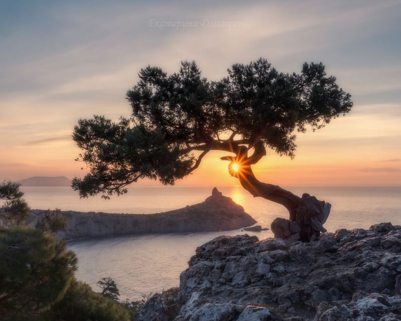 Зимнее утро в Новом Свете фото превью