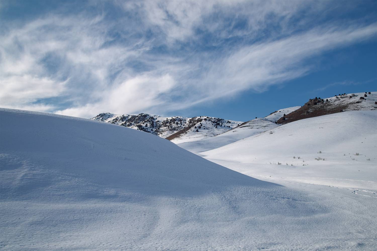 кыргызстан, урочище чункурчак, Элина Магалимова
