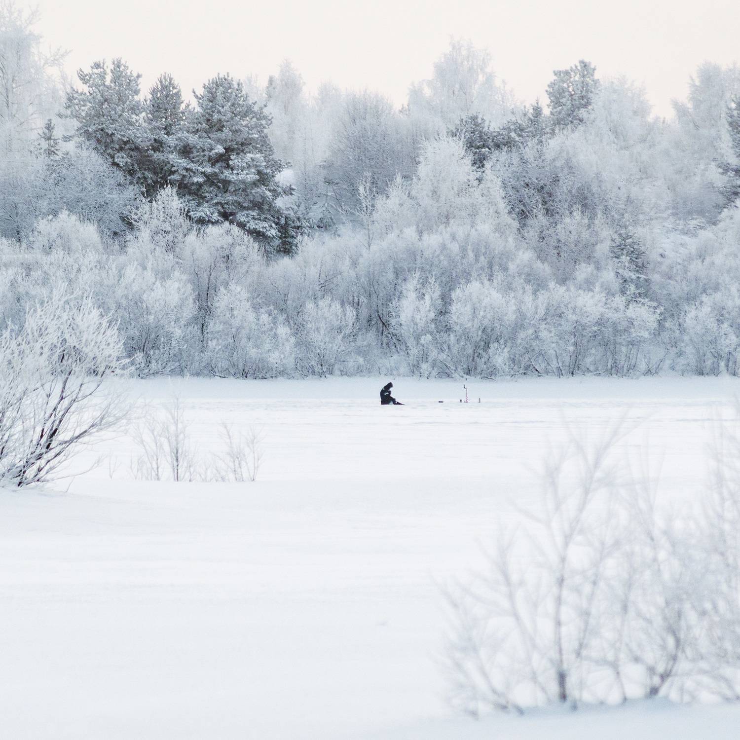 пейзаж, природа, зима, снег, лес, Mysov Ivan