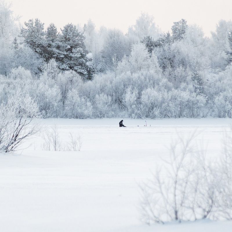 пейзаж, природа, зима, снег, лес  фото превью