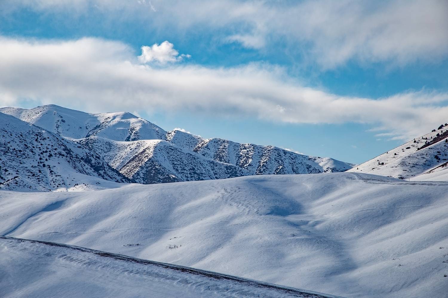 кыргызстан, урочище чункурчак, Элина Магалимова