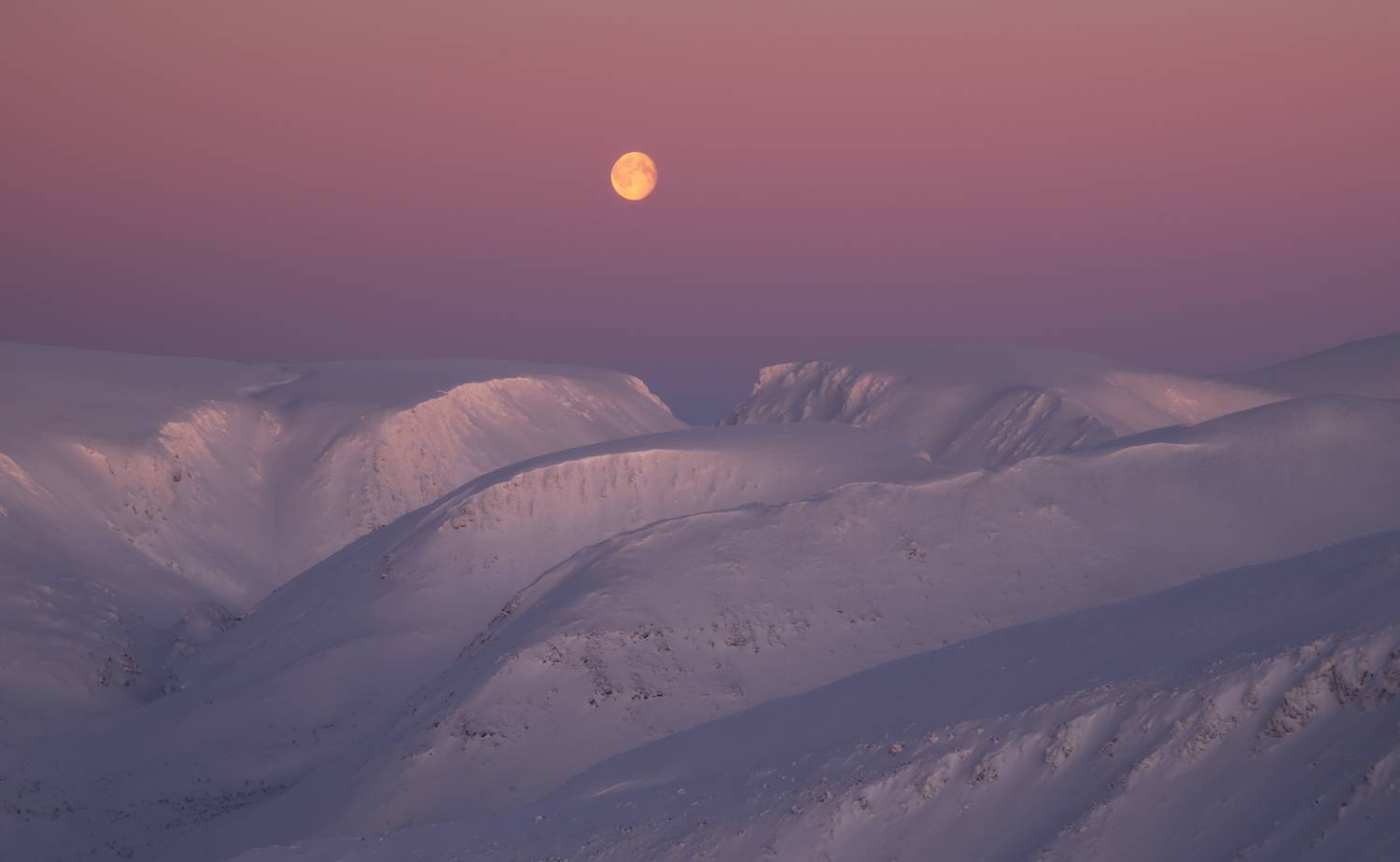 , Истомин Виталий