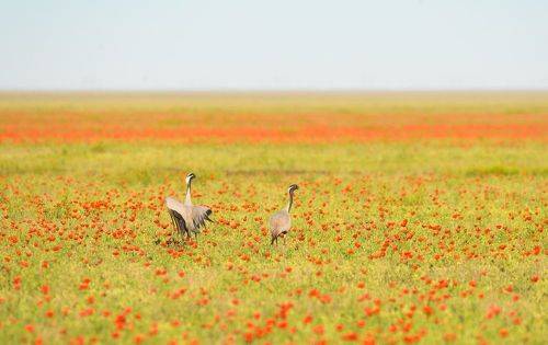 Фототур в маки