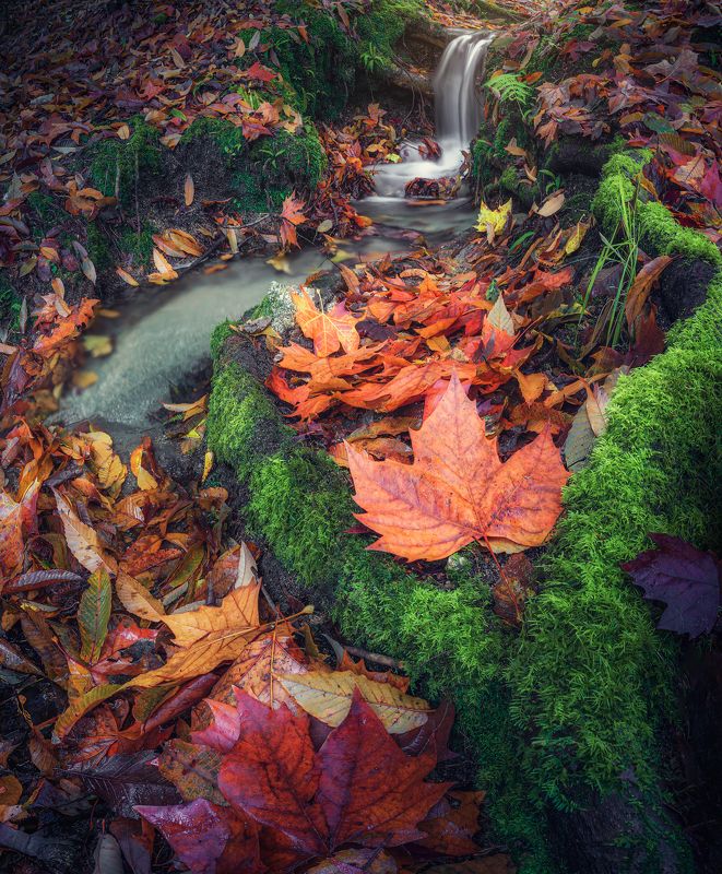 Francisco Crusat photo gallery фото превью