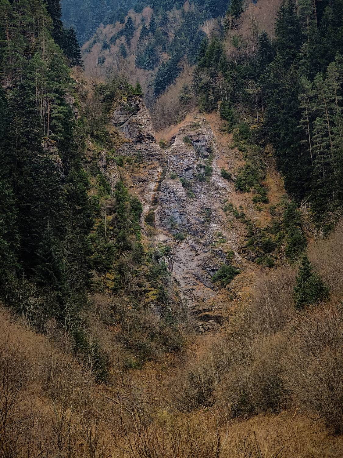 , Владлен Халимов