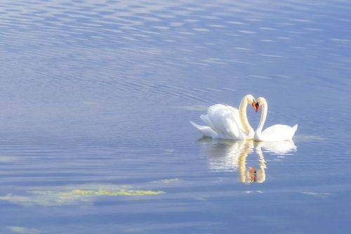 Без названия...