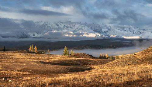 Курайская степь в тумане