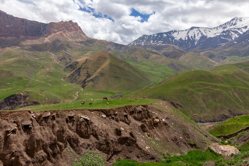 Куруш фото превью