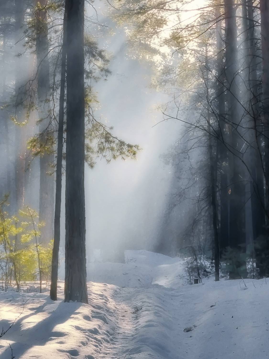 , Кузнецов Дмитрий