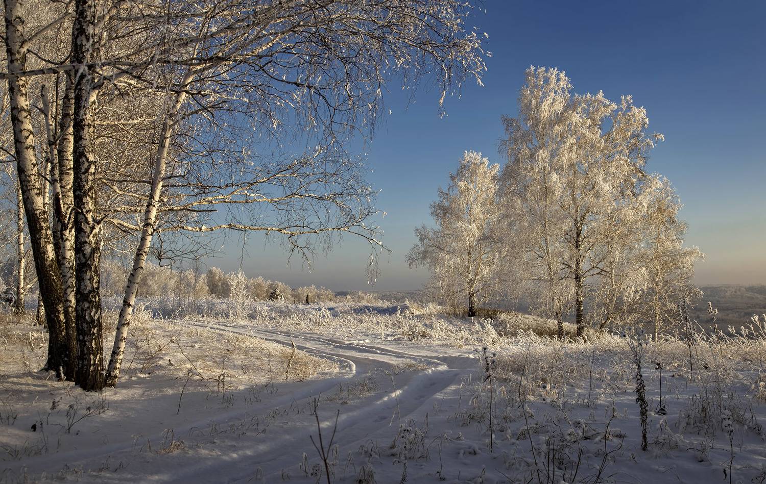 , Алексей Хахлов