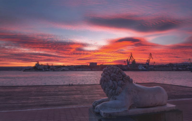 севастополь, крым, пейзаж, рассвет, crimea, landscape,  городской пейзаж, морской пейзаж В Сочельник фото превью