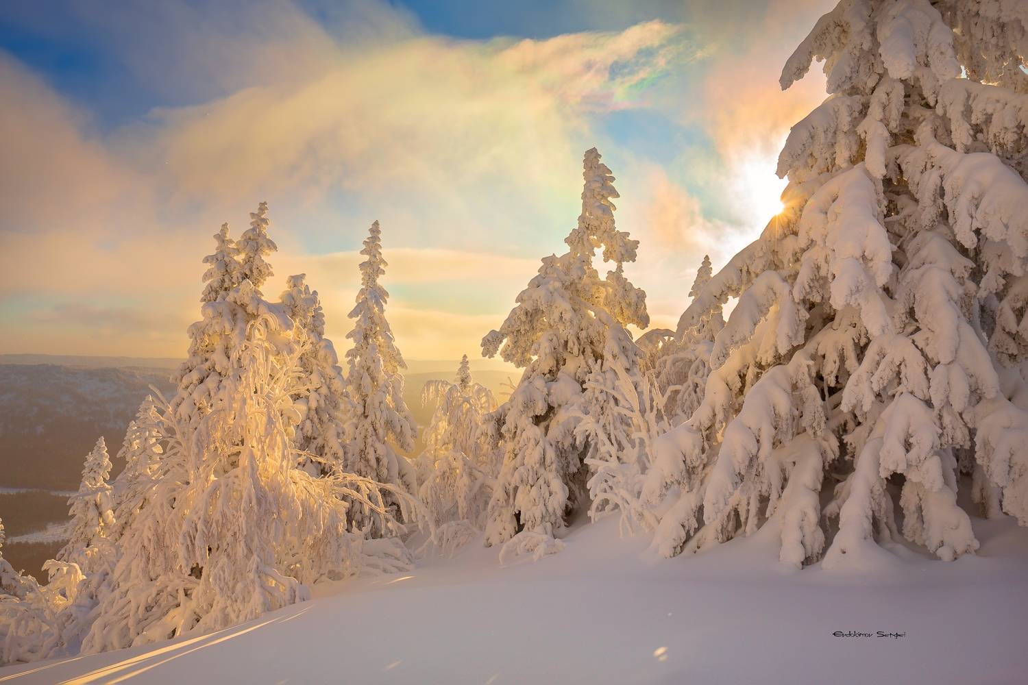 , Евдокимов Сергей