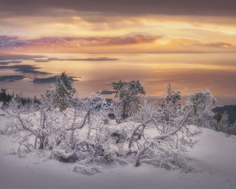 Формы растительности Волосяной сопки фото превью