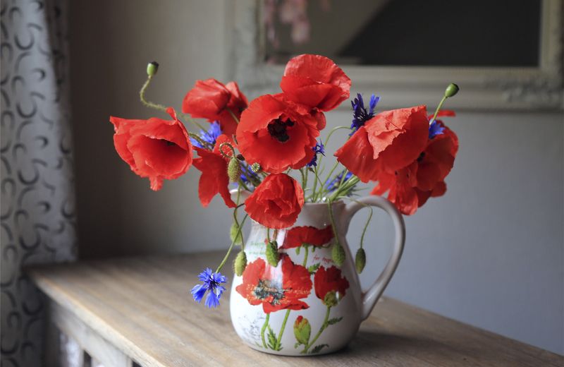 маки, цветы, натюрморт, красный, букет, bouquet, stilllife, red, flowers, canon Маки с васильками фото превью