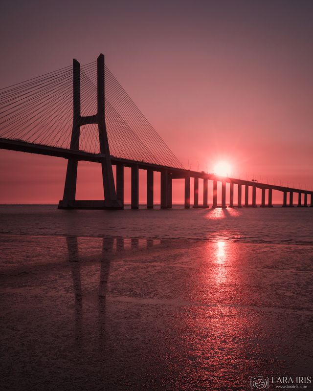 Все в розовом фото превью