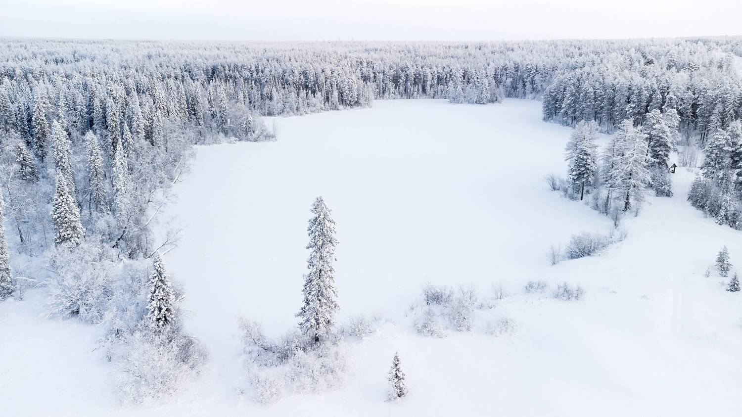 , Лисаускас Илья