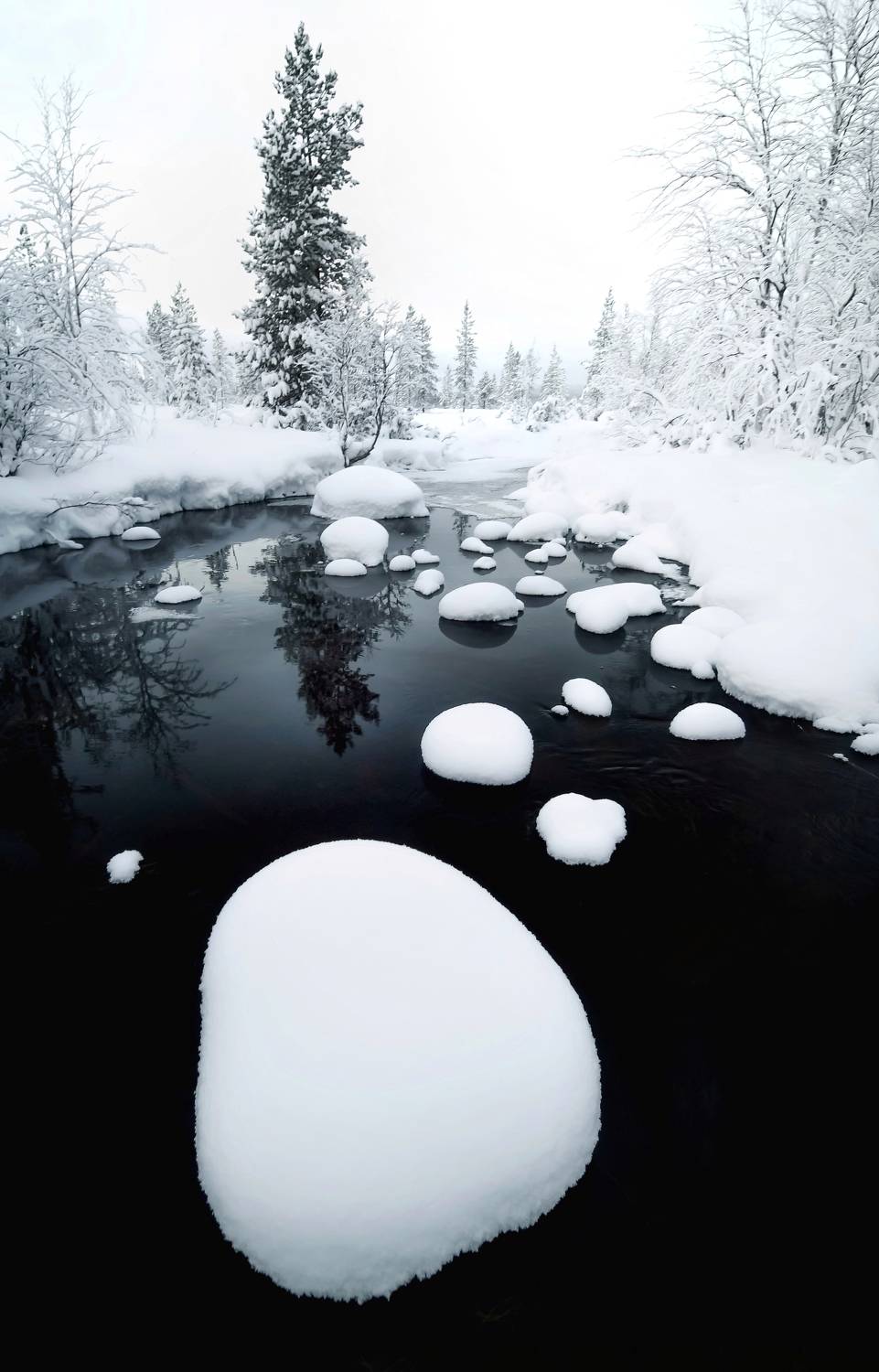 , Tatiana Meshcheryakova