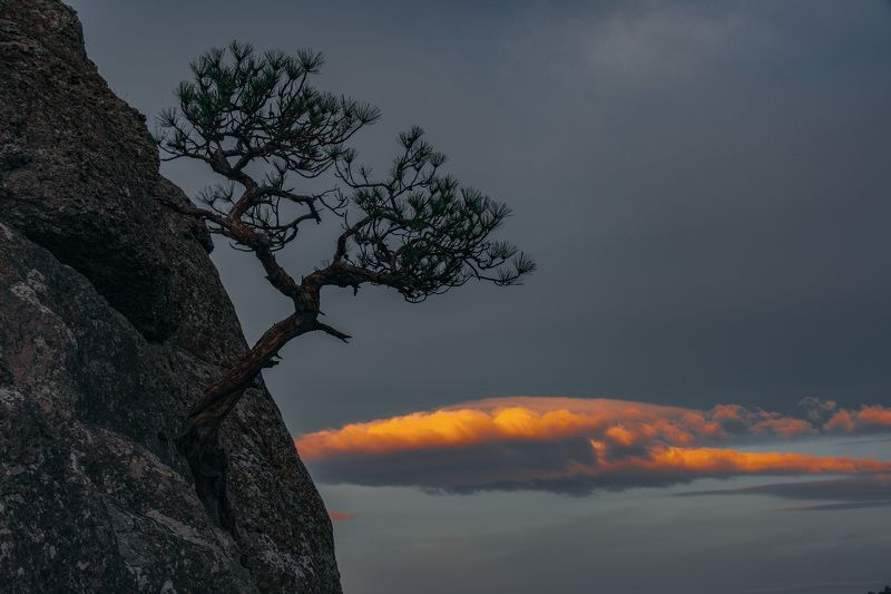 Утро над облаками фото превью