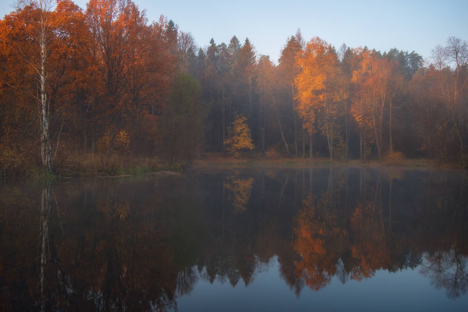 , Романский Владимир (NikonZoom)