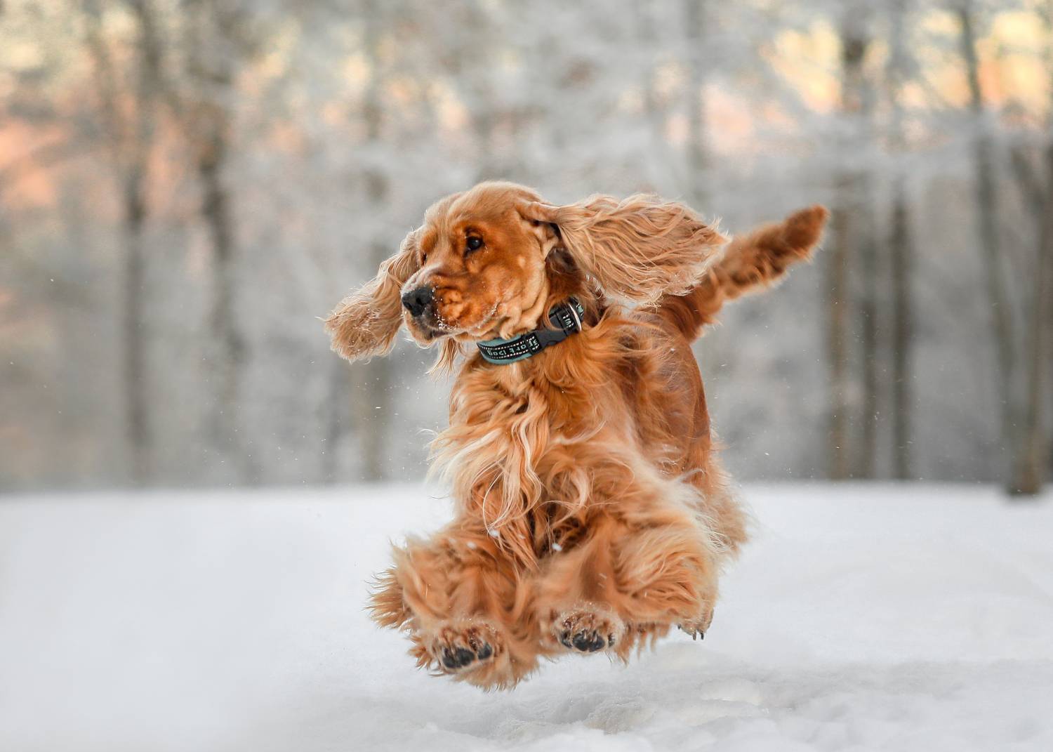 , Андрей Ершов