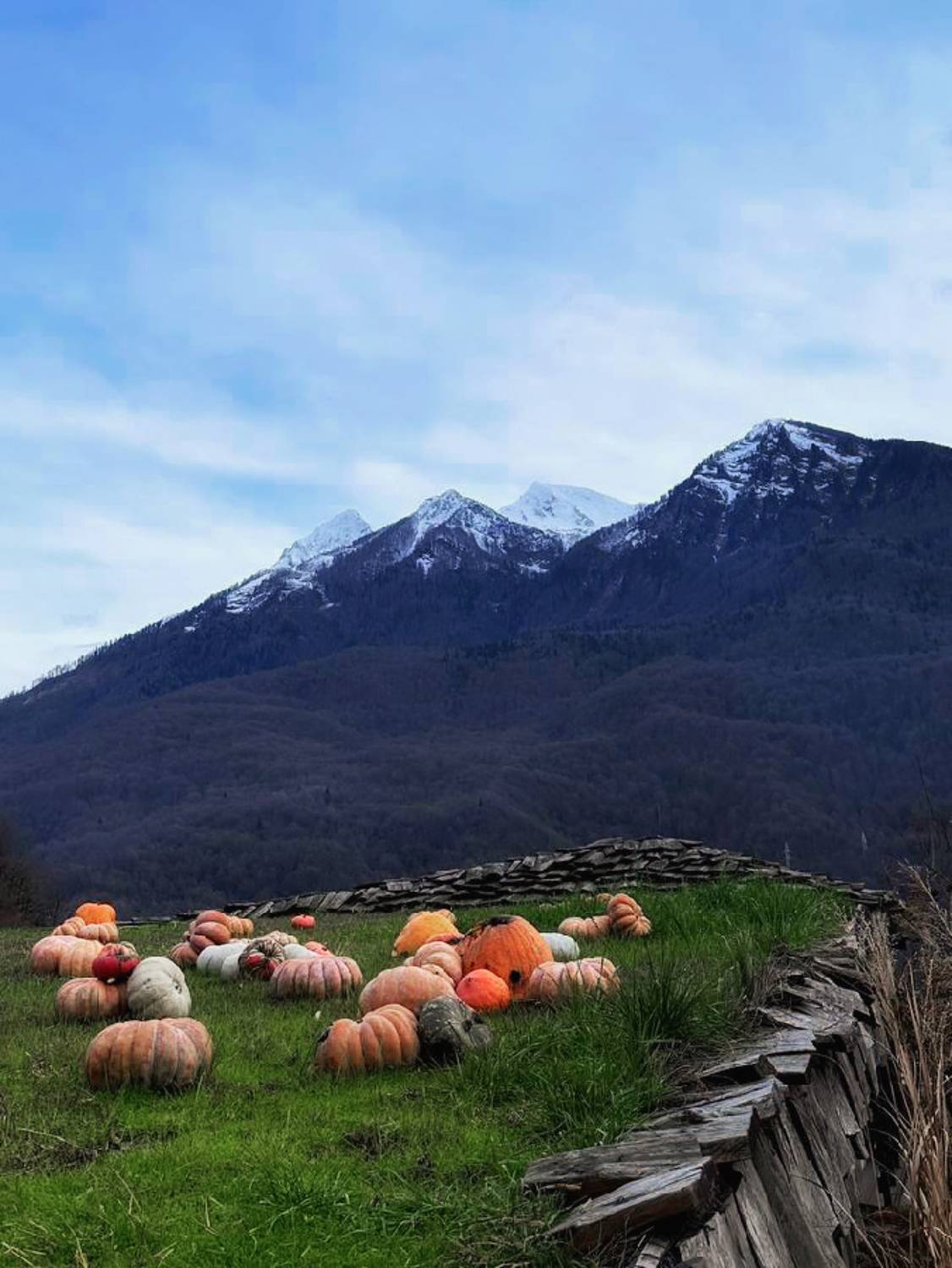 , Лысенко Сергей