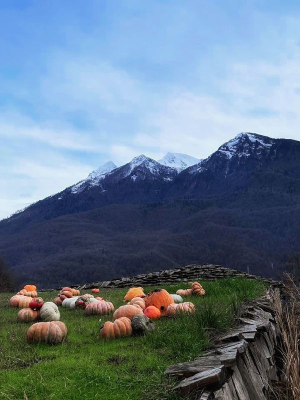 Пейзажный натюрморт. фото превью