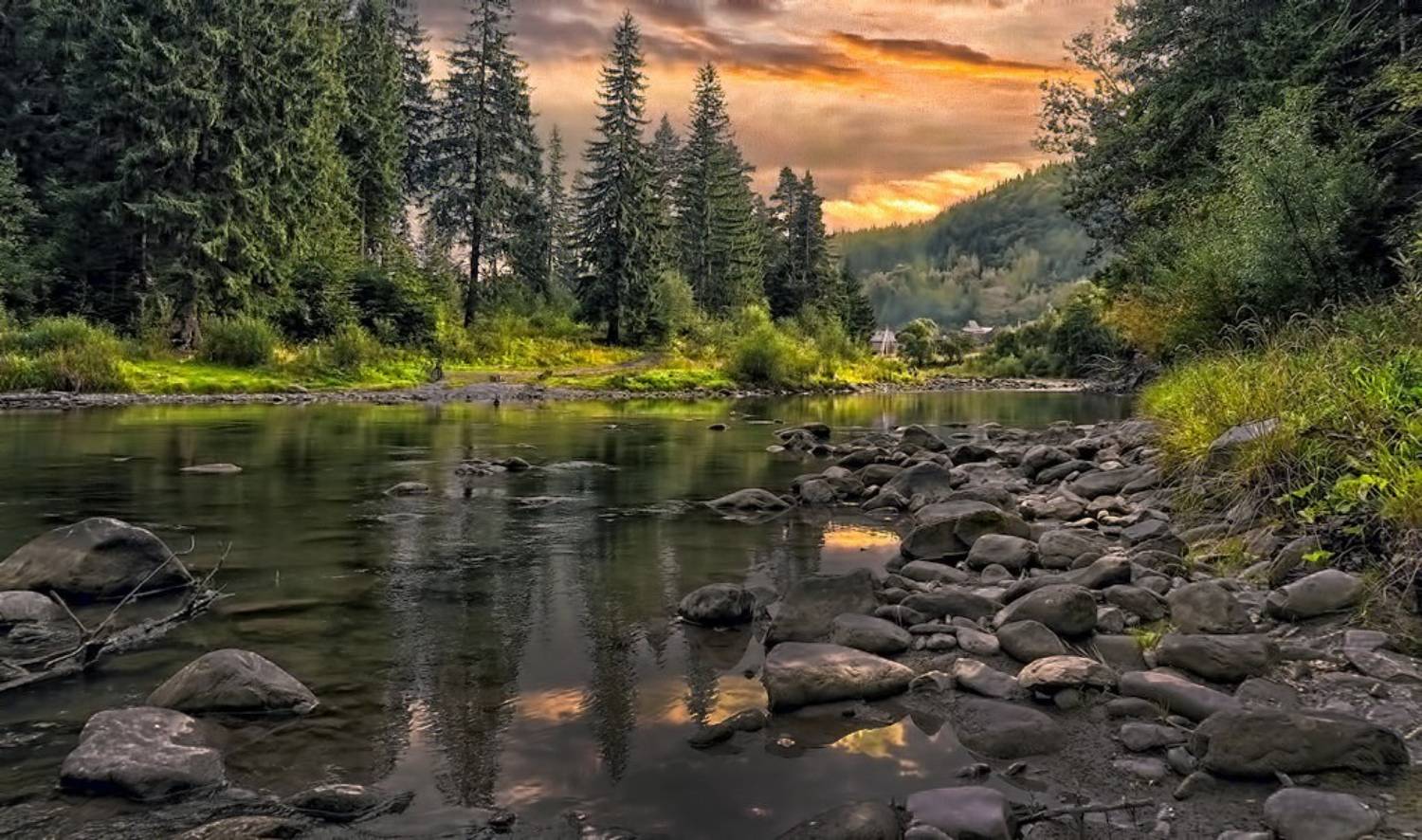 , Савоцкий Роман