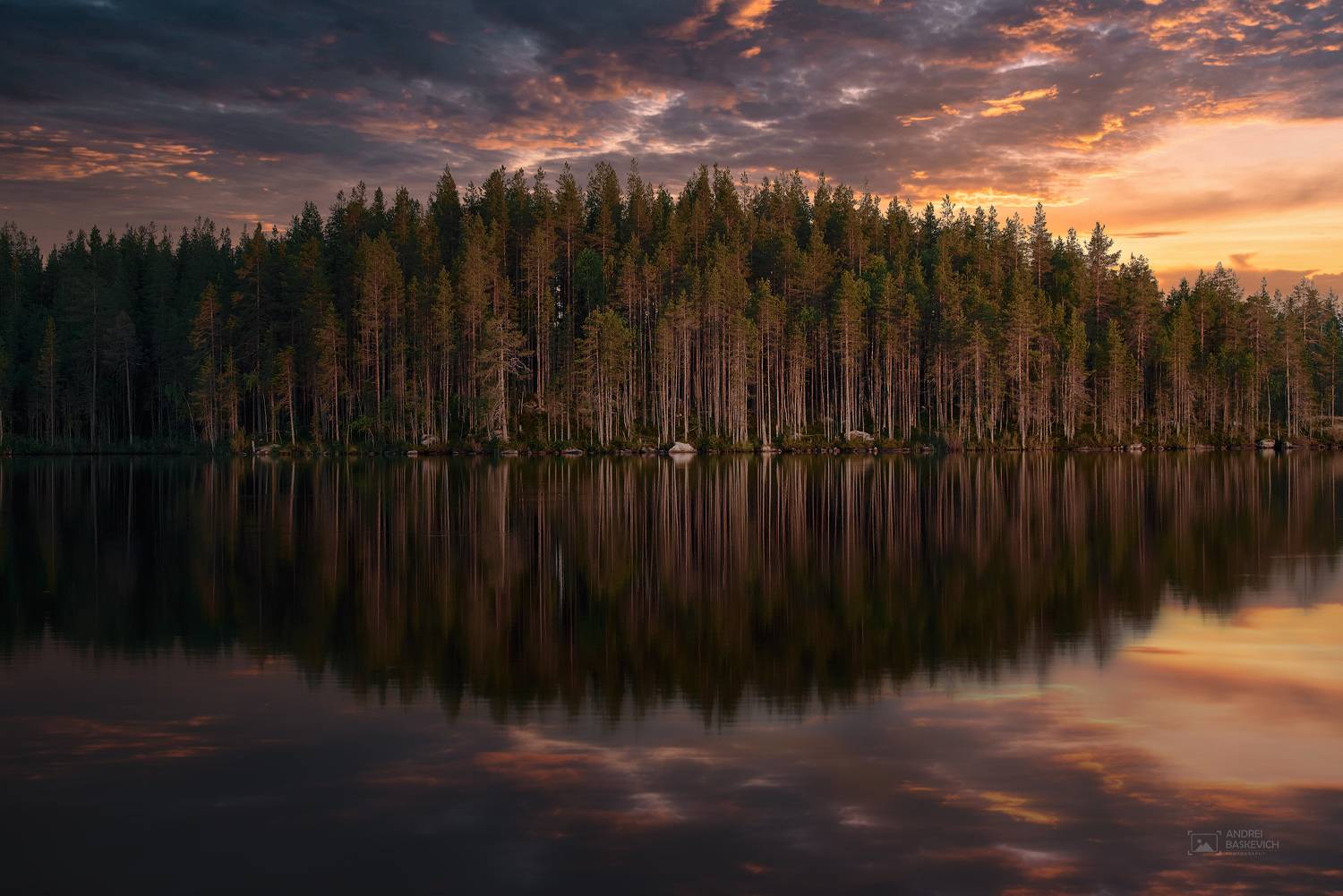 карелия, озеро, отражение, лес, Андрей Баскевич