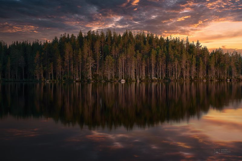 карелия, озеро, отражение, лес  фото превью