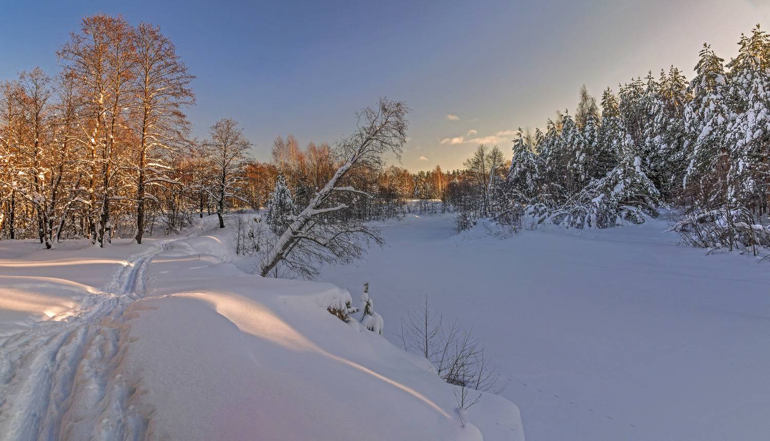 , Шитов Александр