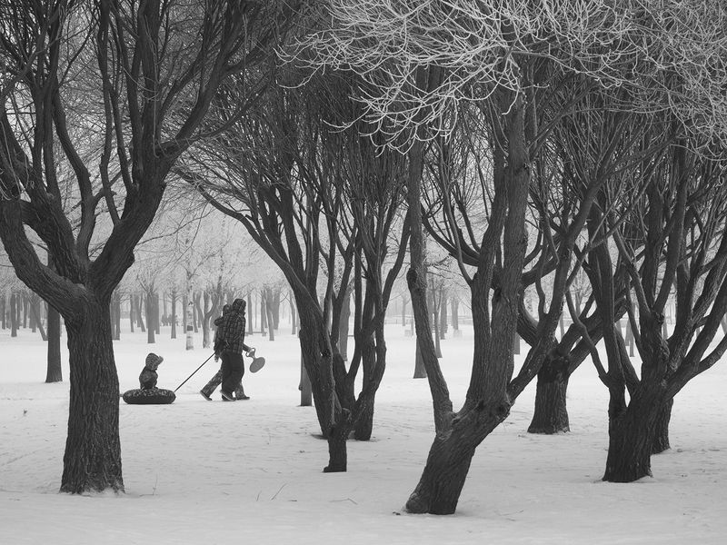 Всей  семьей фото превью