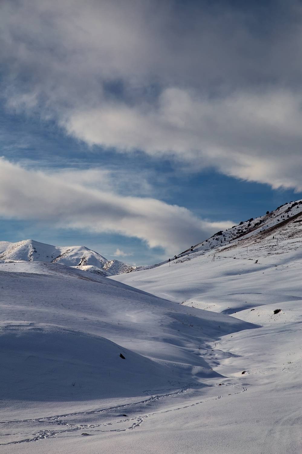 кыргызстан, урочище чункурчак, Элина Магалимова