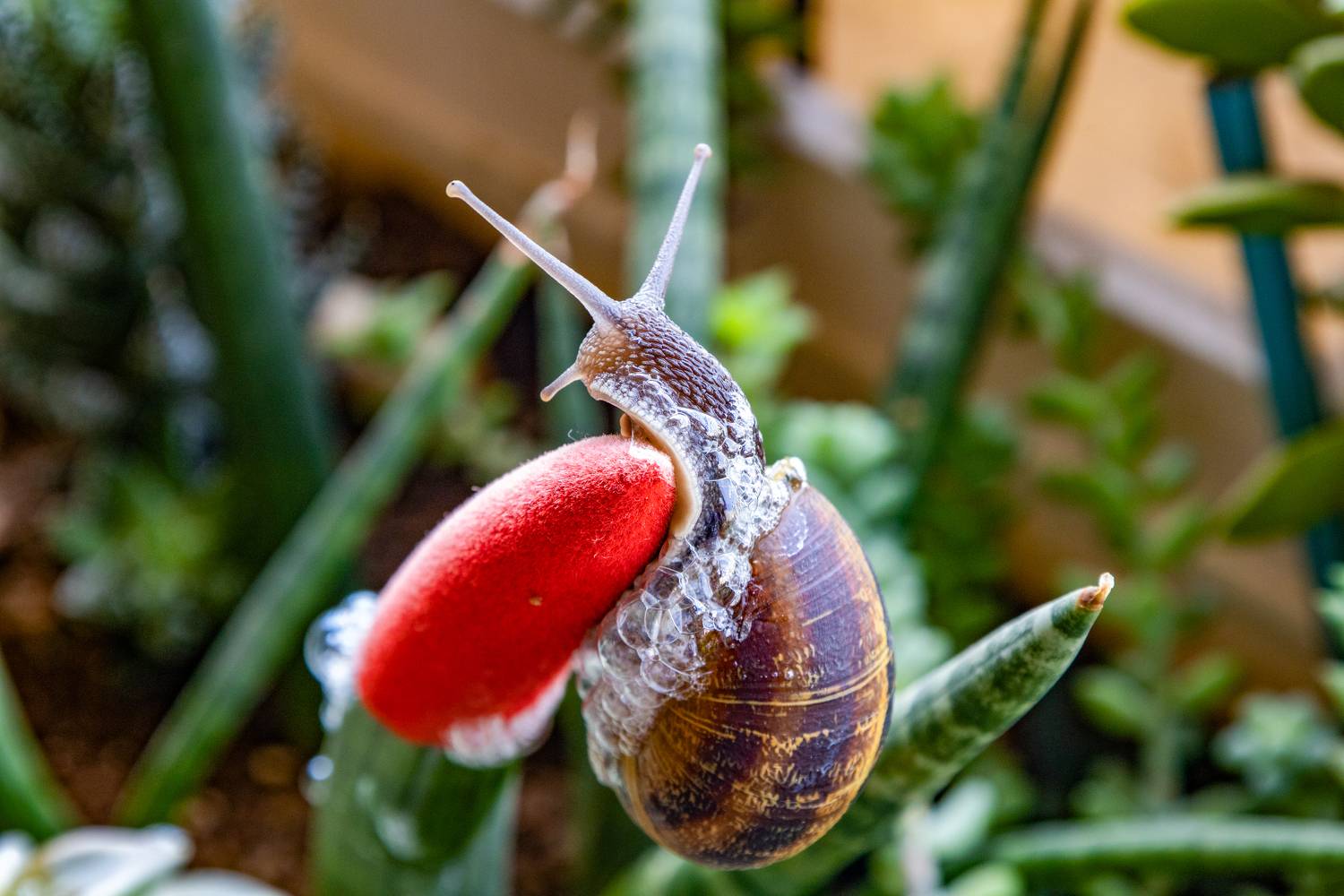 , Вадим Городницкий