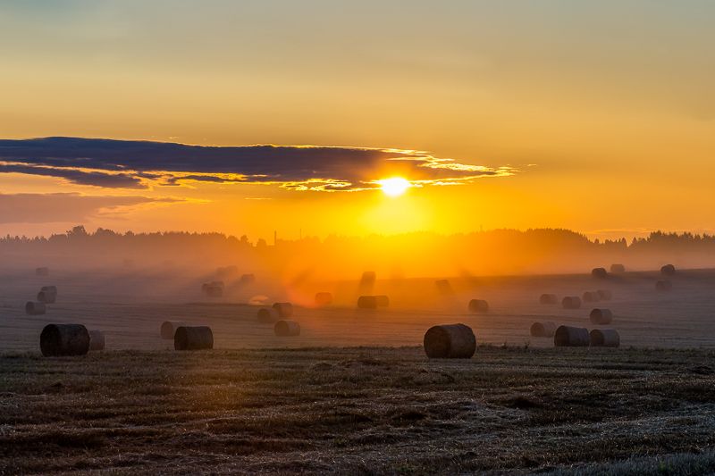 утро, солнце, восход, туман, тепло, ярко, горизонт, стог, сено, поле, прохлада, путь, осень, лето Летнее утро фото превью