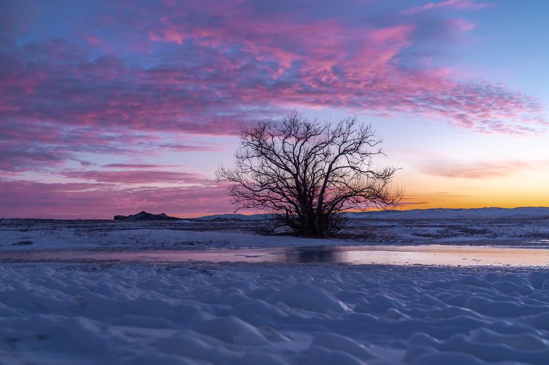 Розовый рассвет фото превью