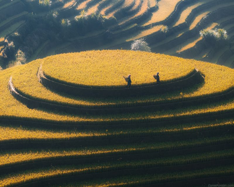 Vietnam