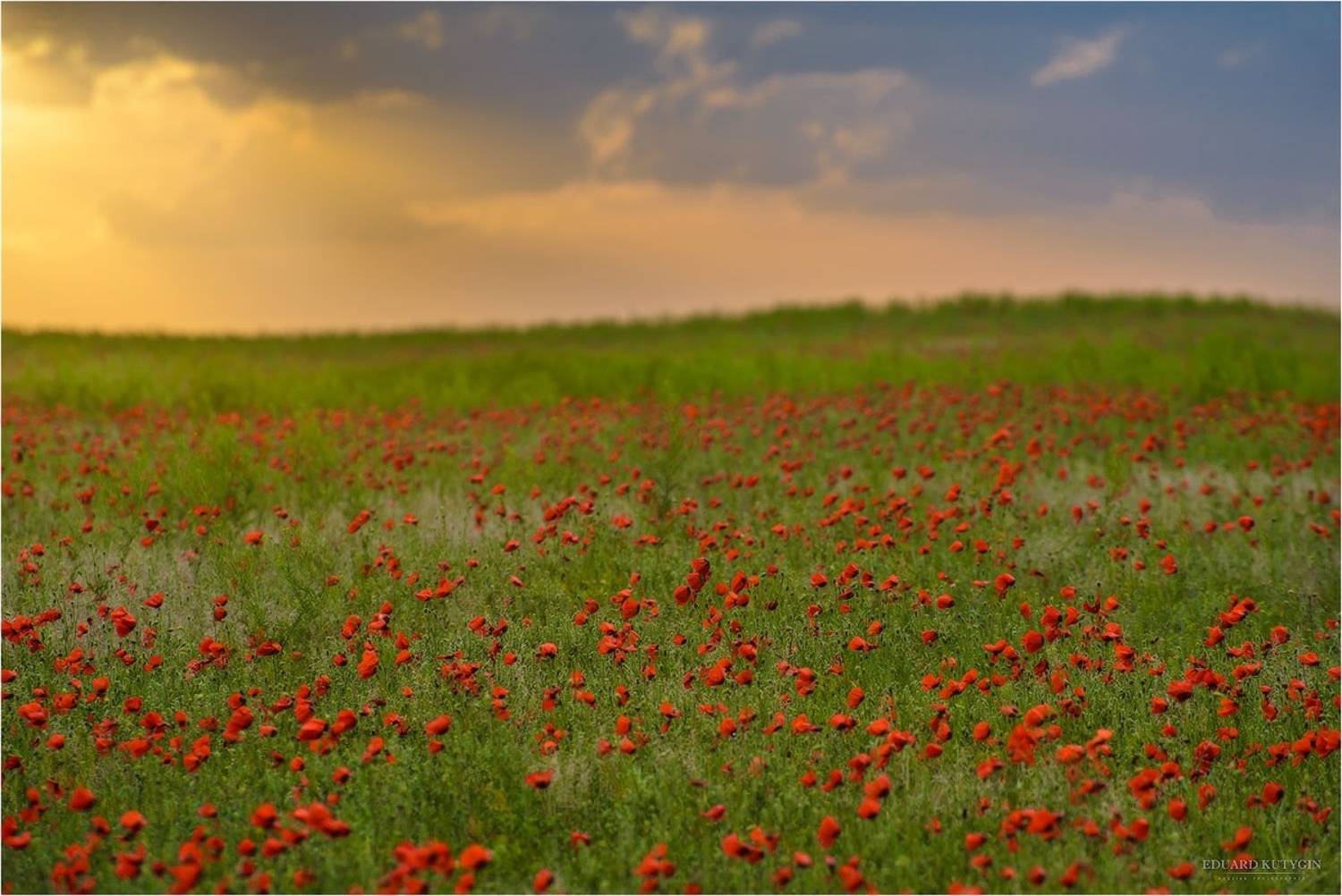 джетысу, семтречье, алтынемель, маки, казахстан, чарын, тяньшань, кольсай, каинды, фототур, фотоутрсемтречье, фототурджетысу, фототурмаки, фототурчарын, чарынскийканьон, Кутыгин Эдуард