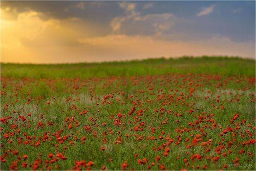 фототур маки