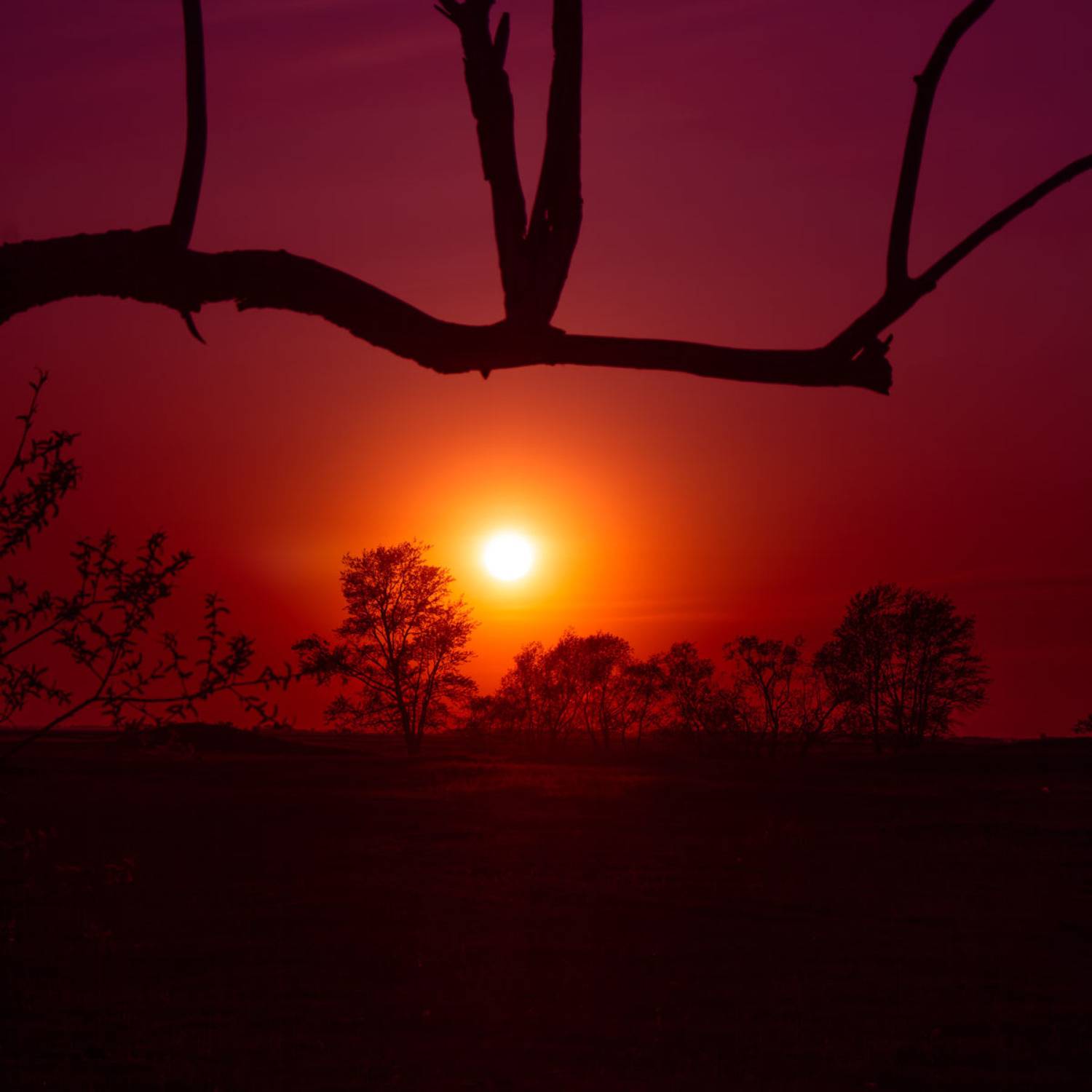 , Савенко Кирилл