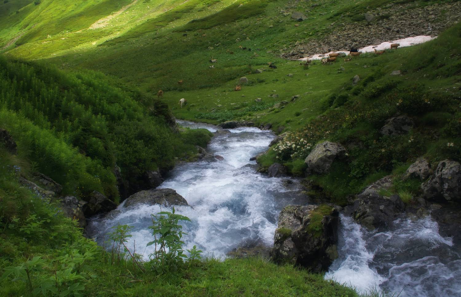 , Лысенко Сергей