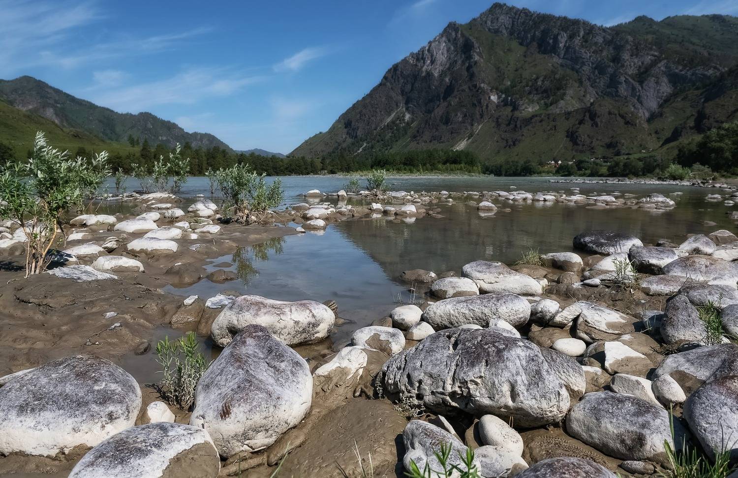 алтай, лето, катунь, залив, камни,камни катуни, Фомина Марина