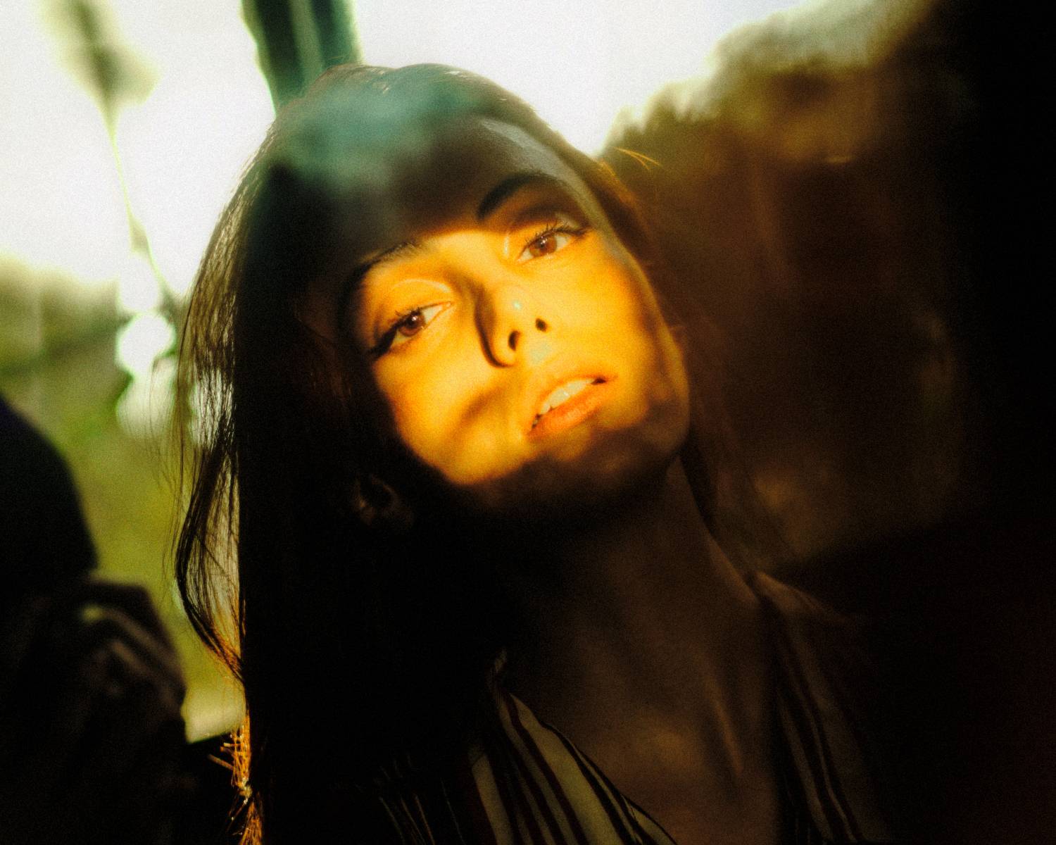 , Hamidreza Sheikhmorteza