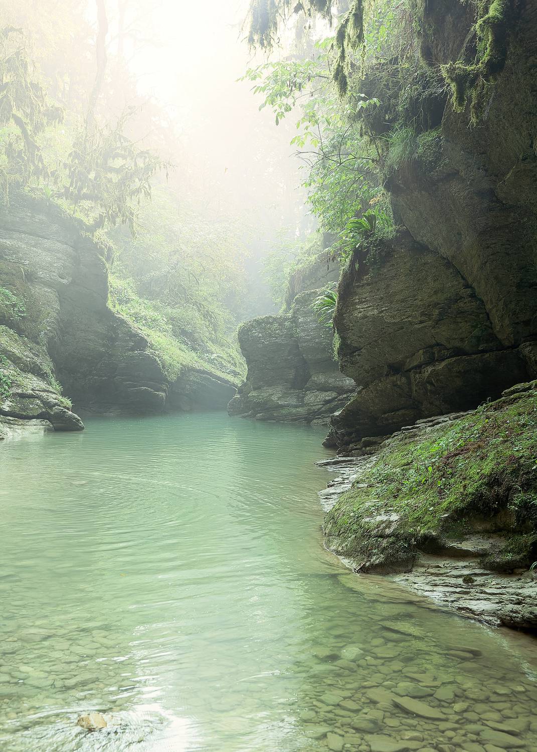 , Загруев Михаил