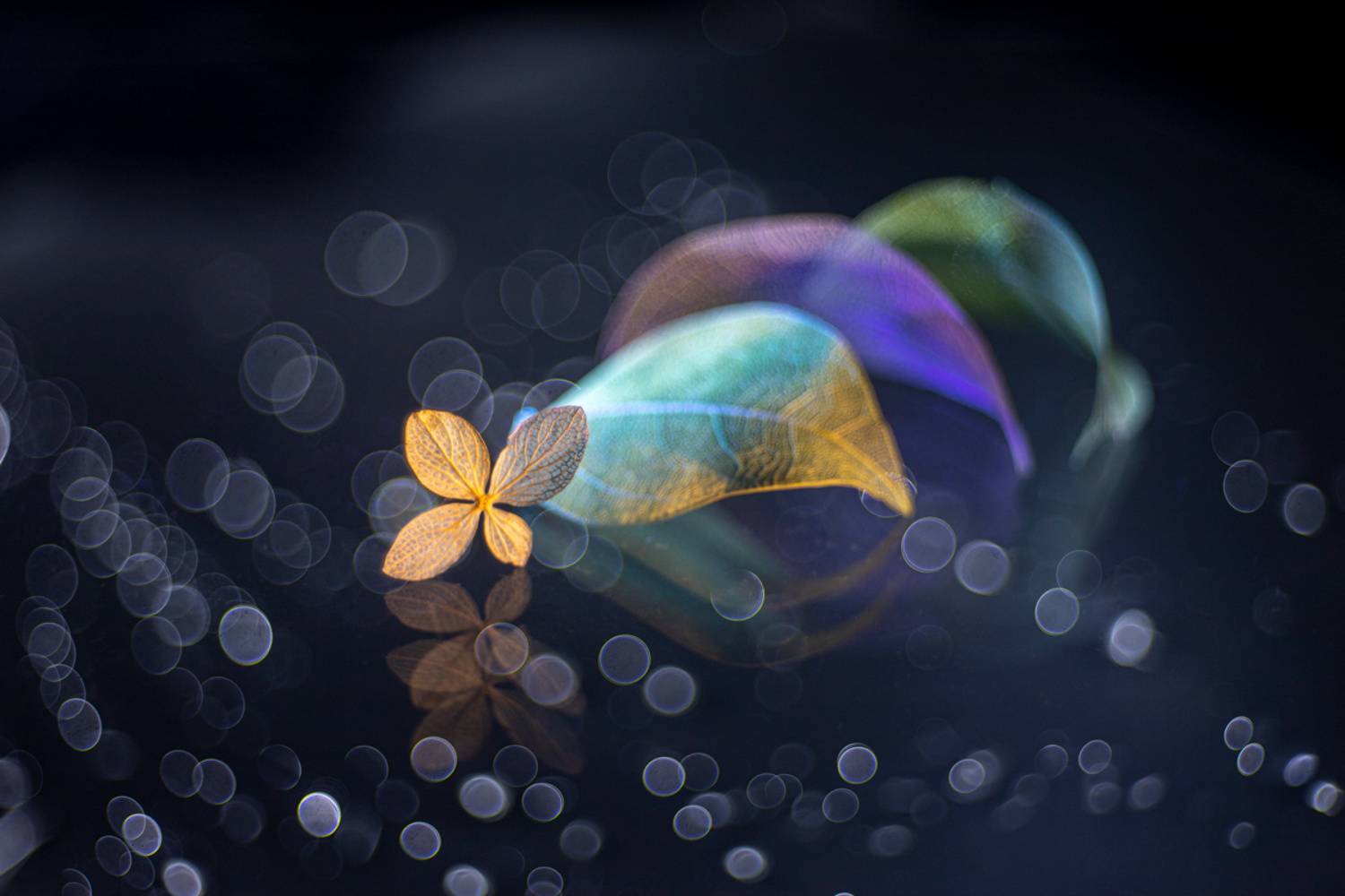 , Игорь Копцев