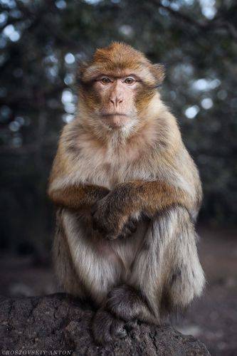 Сложные мысли | фототур в Марокко